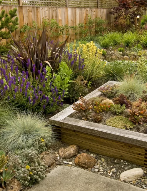 backyard-landscape