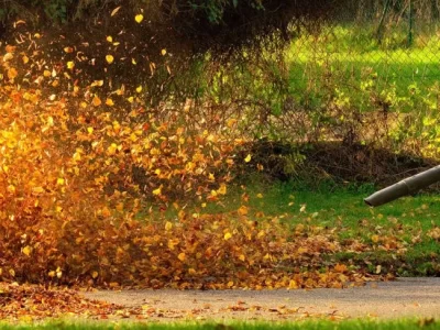 fall-blower